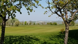 Gallery image 14